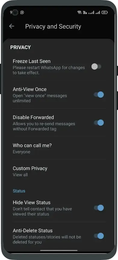 blue whatsapp features